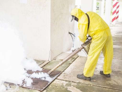 Dedetização de mosquitos - Rio Facilities